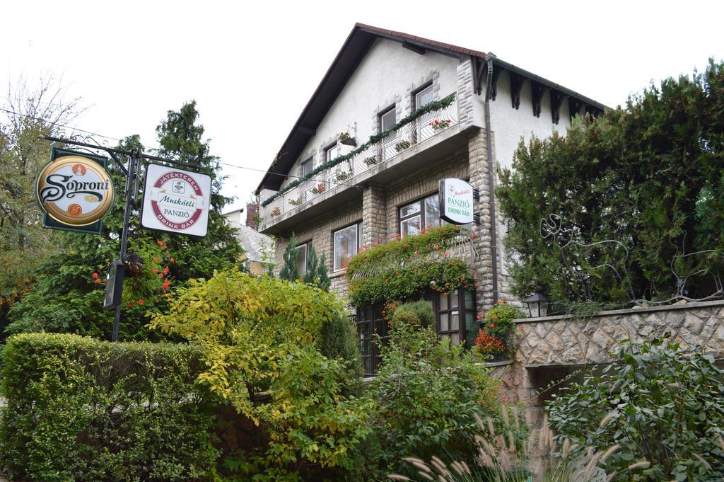 Muskatli Panzio Bed & Breakfast Gyor Luaran gambar