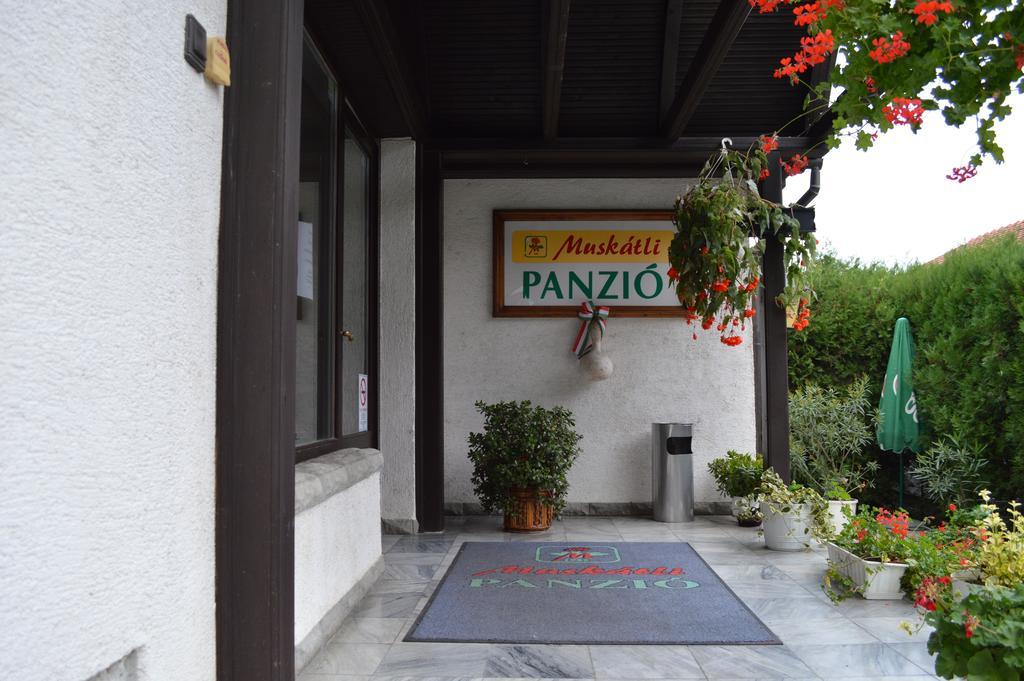 Muskatli Panzio Bed & Breakfast Gyor Luaran gambar