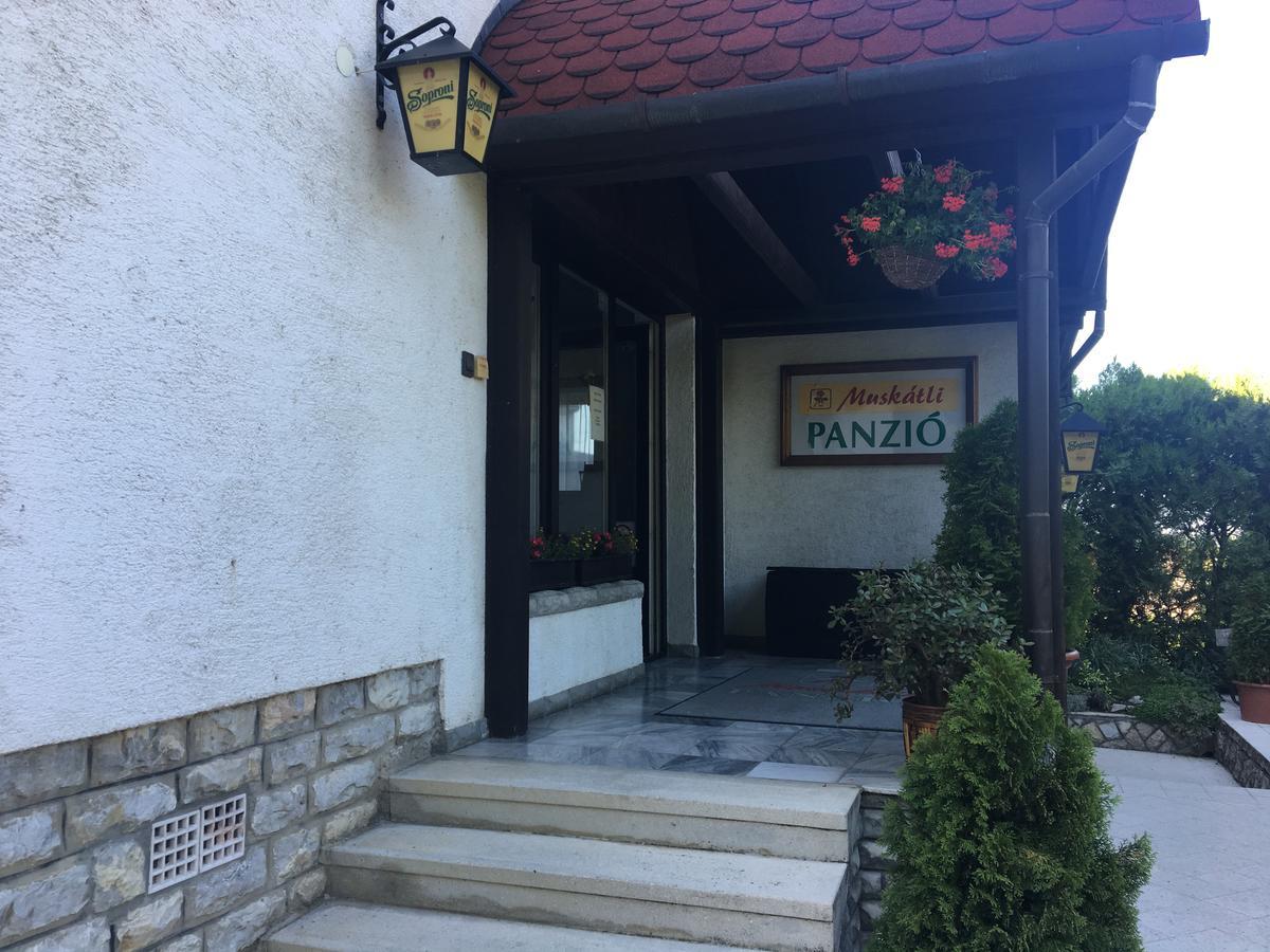 Muskatli Panzio Bed & Breakfast Gyor Luaran gambar